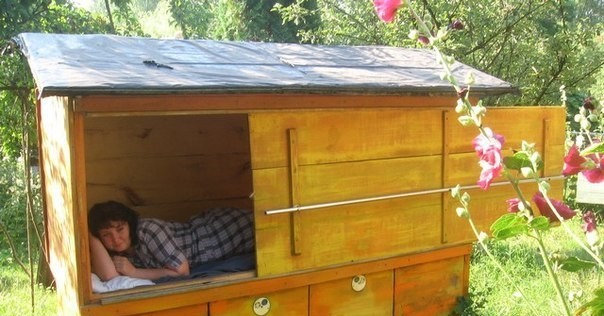 Sleep on the Beehives with Bees.jpg