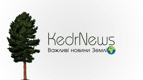 KedrNews – добрые новости от молодых киевлян.jpg