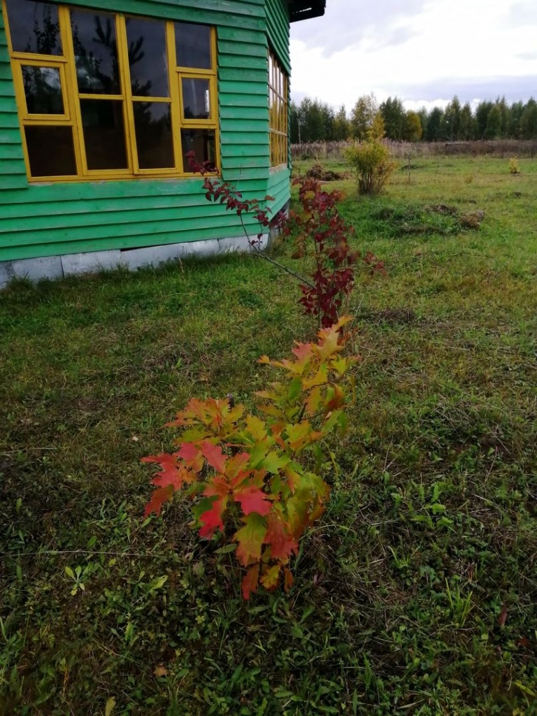 #ДОиПОСЛЕ в РП Лебёдушки (1).jpg