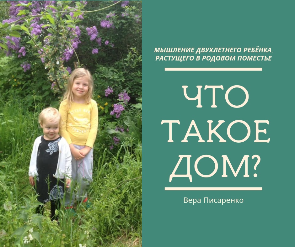 Мышление двухлетнего ребёнка в родовом поместье.jpg