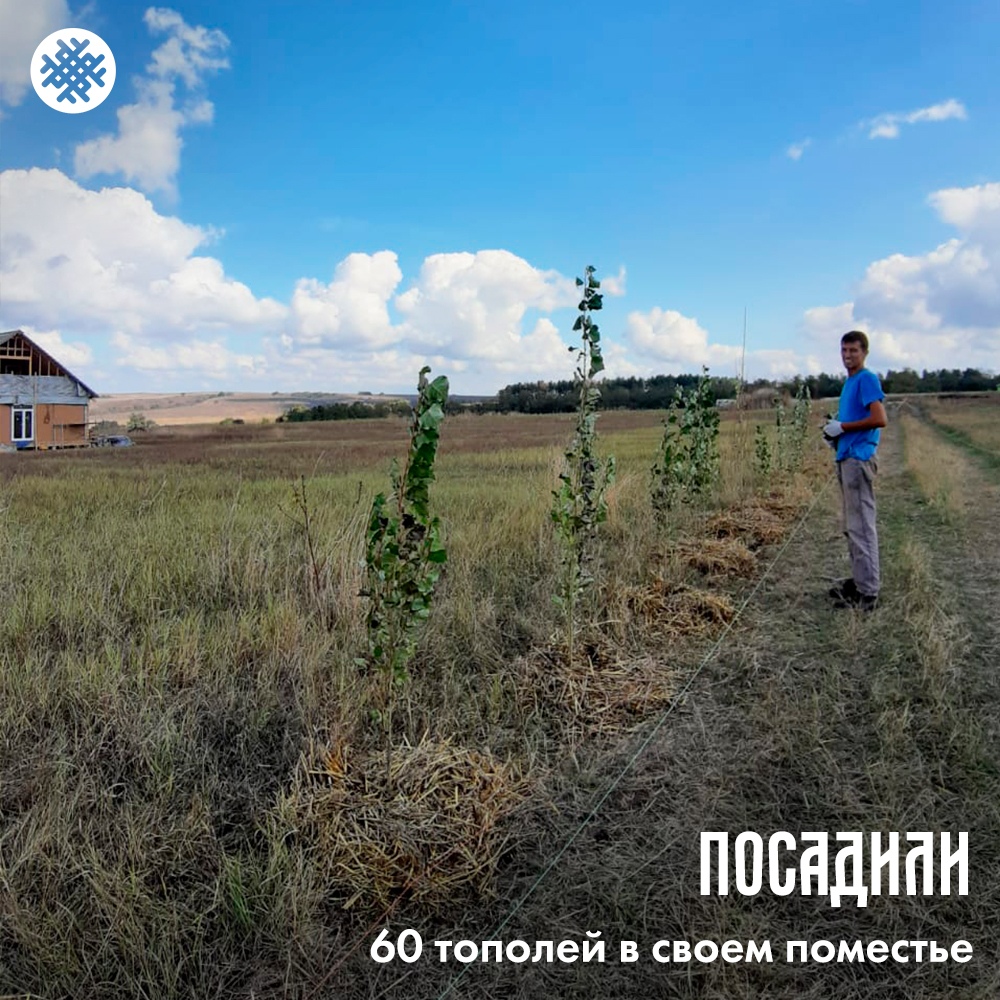 Вера Марченко. Посадили 60 тополей в своём поместье.jpg