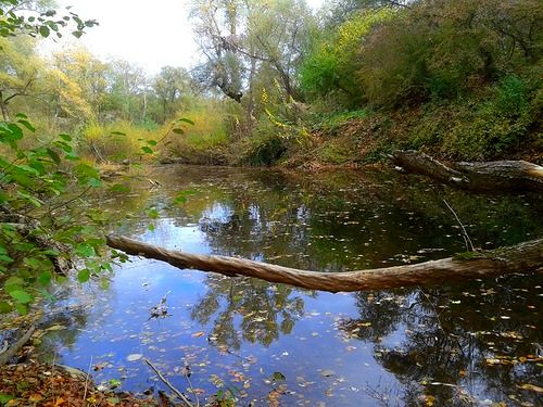 Краснодарский Балабушки (6).jpg