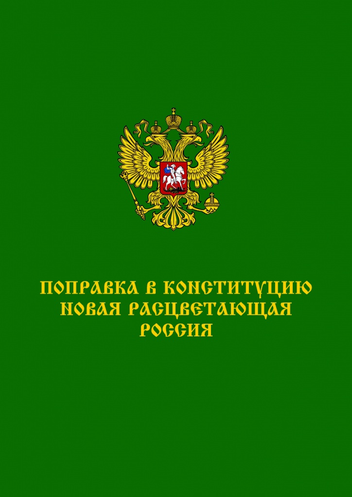 Фонд Поправка Конституция (1).jpg